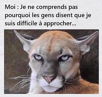 ARCHIMEDE Ahmed