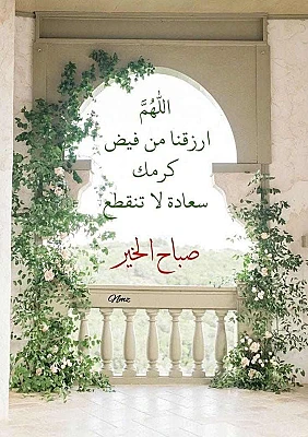 Hocine13
