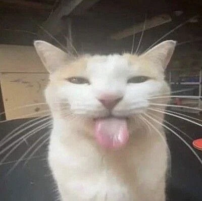 xhenimin