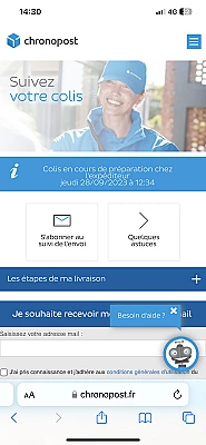 Si