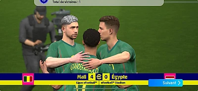 Ibra223