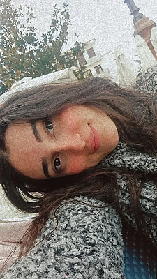 Rim.Mb