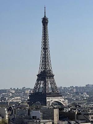Mohous