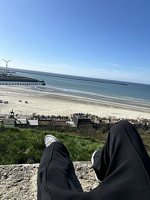 mvxence9