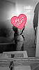 Lexy24035