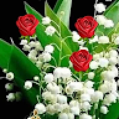 mimoun62