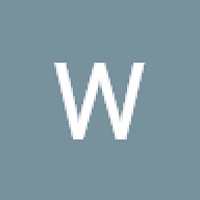 wesley-bolus