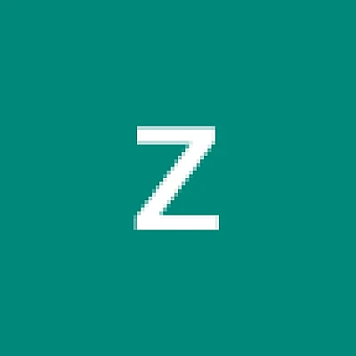 zyed-beltaief