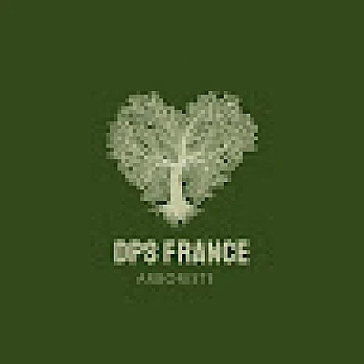 dps-france