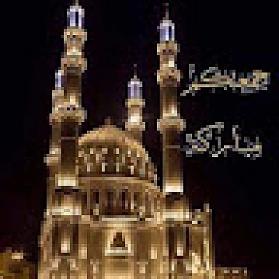 zouhir-djellouli