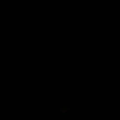 joe_lp0