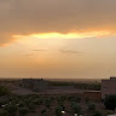 samisalah-daifi