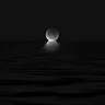 luna-bellier