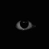 ezechiel-toutou