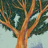 doumbouya-sitafa