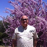 guy-cohen