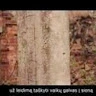 kristijonas-kurlinkus
