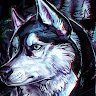 semih-gorduk