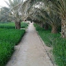 abdelali-aissa