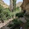 salah-chaib