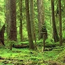 moh-ben