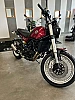 Moto BENELLI Leoncino 500T NEUVE et GARANTIE thumbnail
