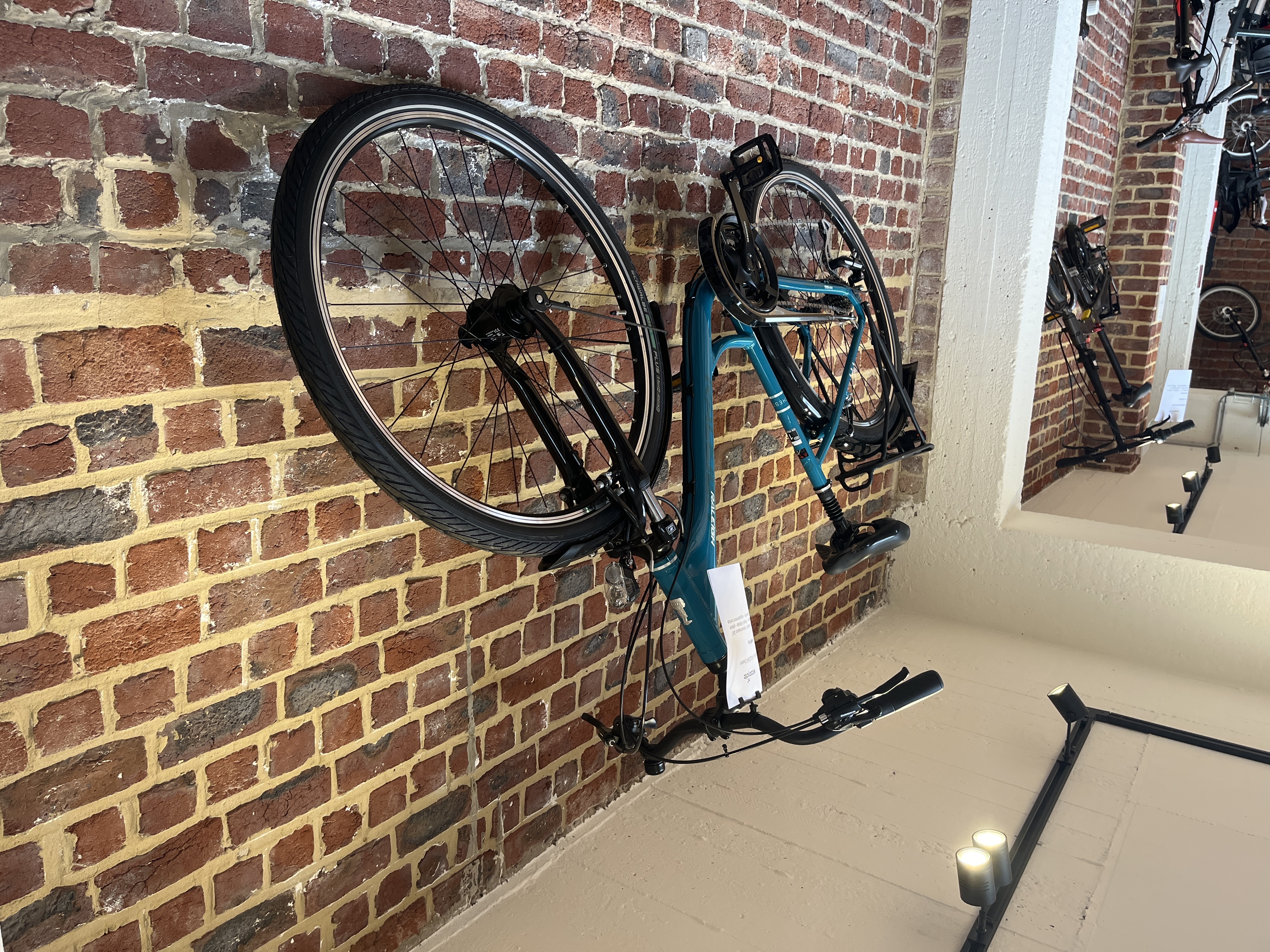 Raleigh Chester
