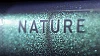 Cube Nature Exc Verde N Black thumbnail