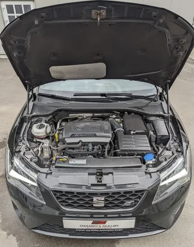 Seat Leon Cupra Sc 290