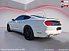 Ford Mustang FASTBACK 50eme anniversaire 5.0 V8 BVA10 GT thumbnail