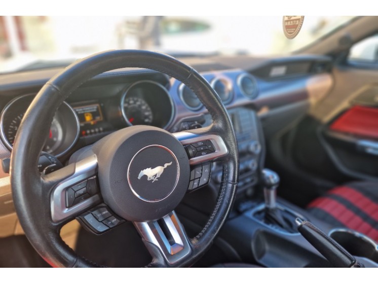 Ford Mustang FASTBACK 50eme anniversaire 5.0 V8 BVA10 GT