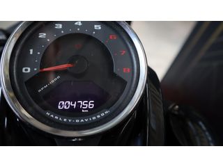 Softail