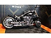softail thumbnail