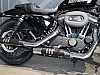 Sportster thumbnail