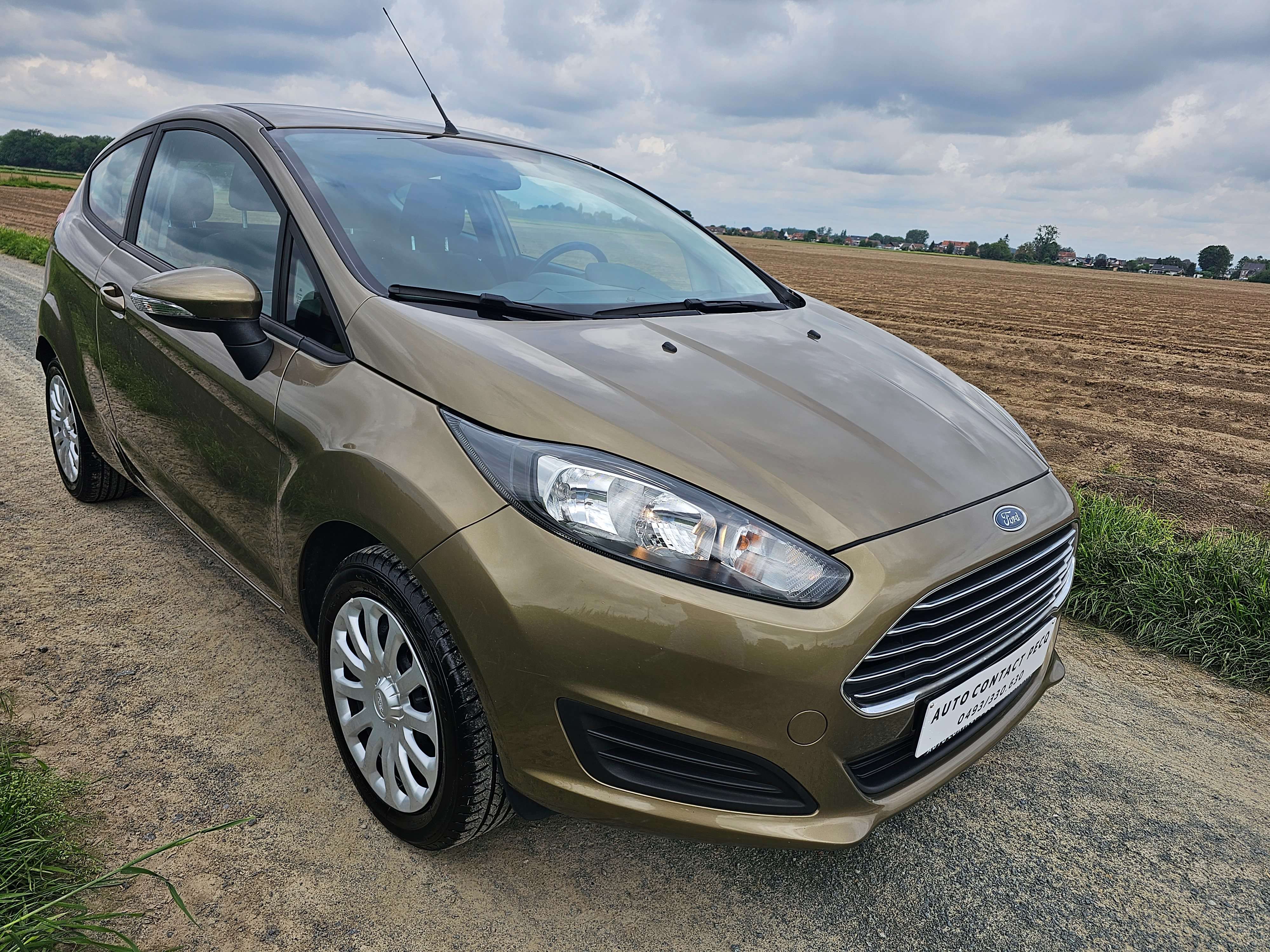 Ford Fiesta 1.25i Ambiente