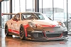 Porsche 911 GT3 Cup 3.8 thumbnail