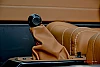 Vanderhall Carmel GT thumbnail