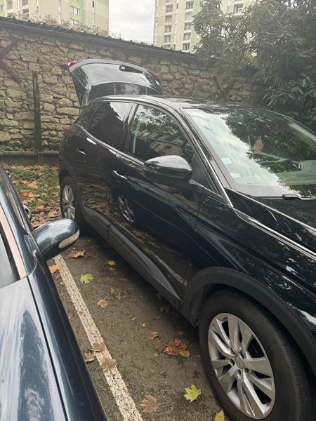 Peugeot 3008 II (2) 1.2 PURETECH 130 S&amp;S ACTIVE BUSINESS EAT8