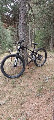 Mondraker Foxy
