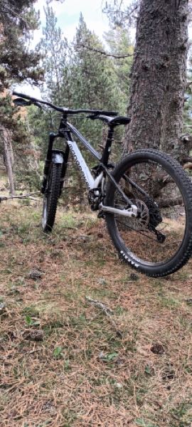 Mondraker Foxy