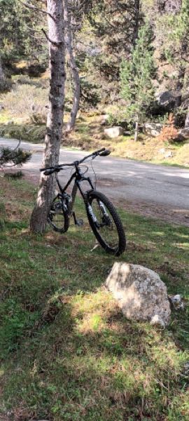 Mondraker Foxy