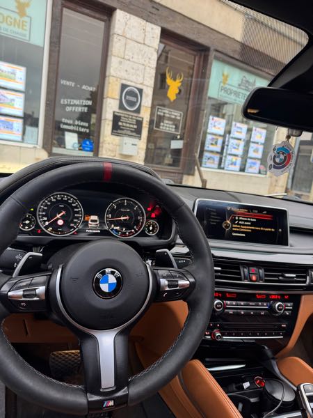 Bmw X6 (F16) XDRIVE40D 313 20CV EXCLUSIVE BVA8