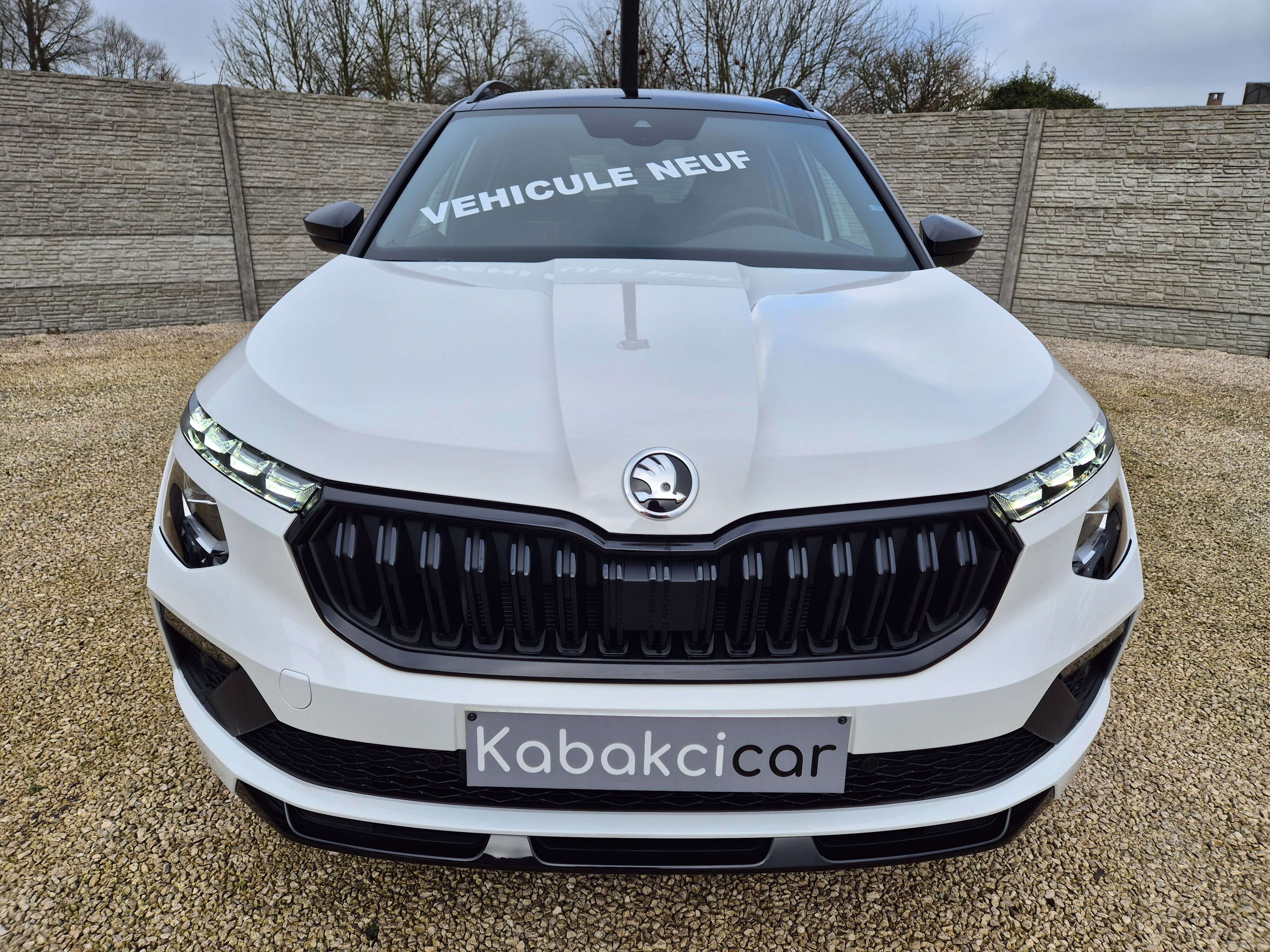 Skoda Kamiq 1.0 TSI Monte Carlo DSG//VEHICULE NEUF//GARANTIE