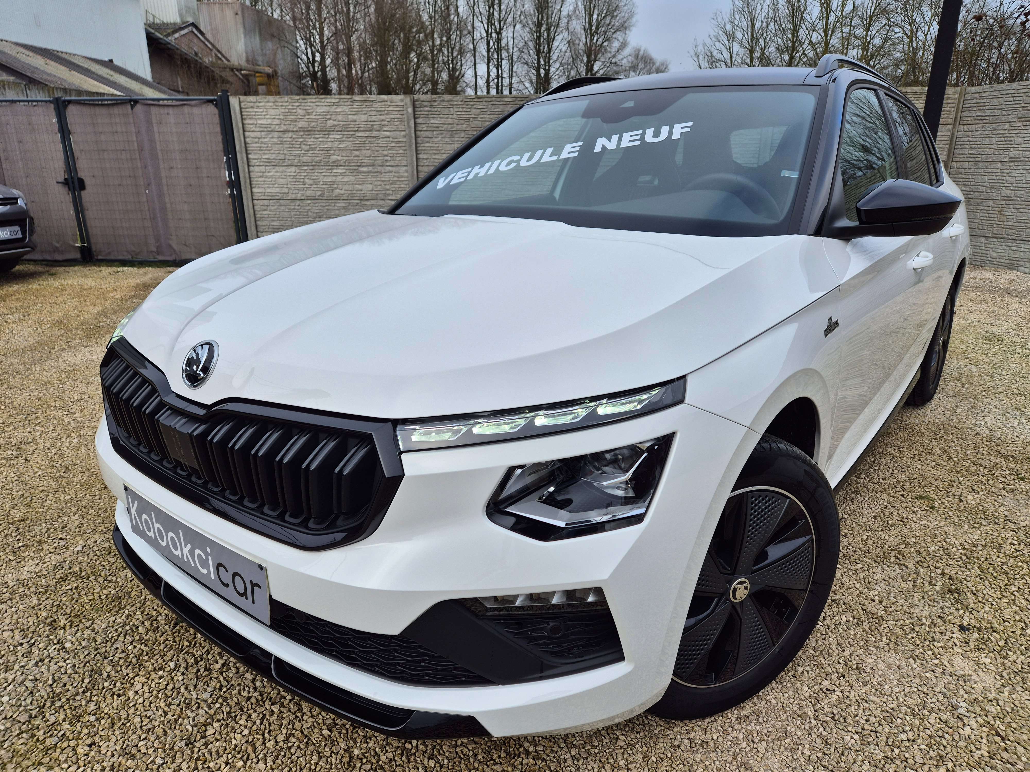Skoda Kamiq 1.0 TSI Monte Carlo DSG//VEHICULE NEUF//GARANTIE