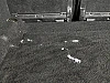 Citroen C4 1.2 PURETECH 130 S&amp;S FEEL BV6 thumbnail