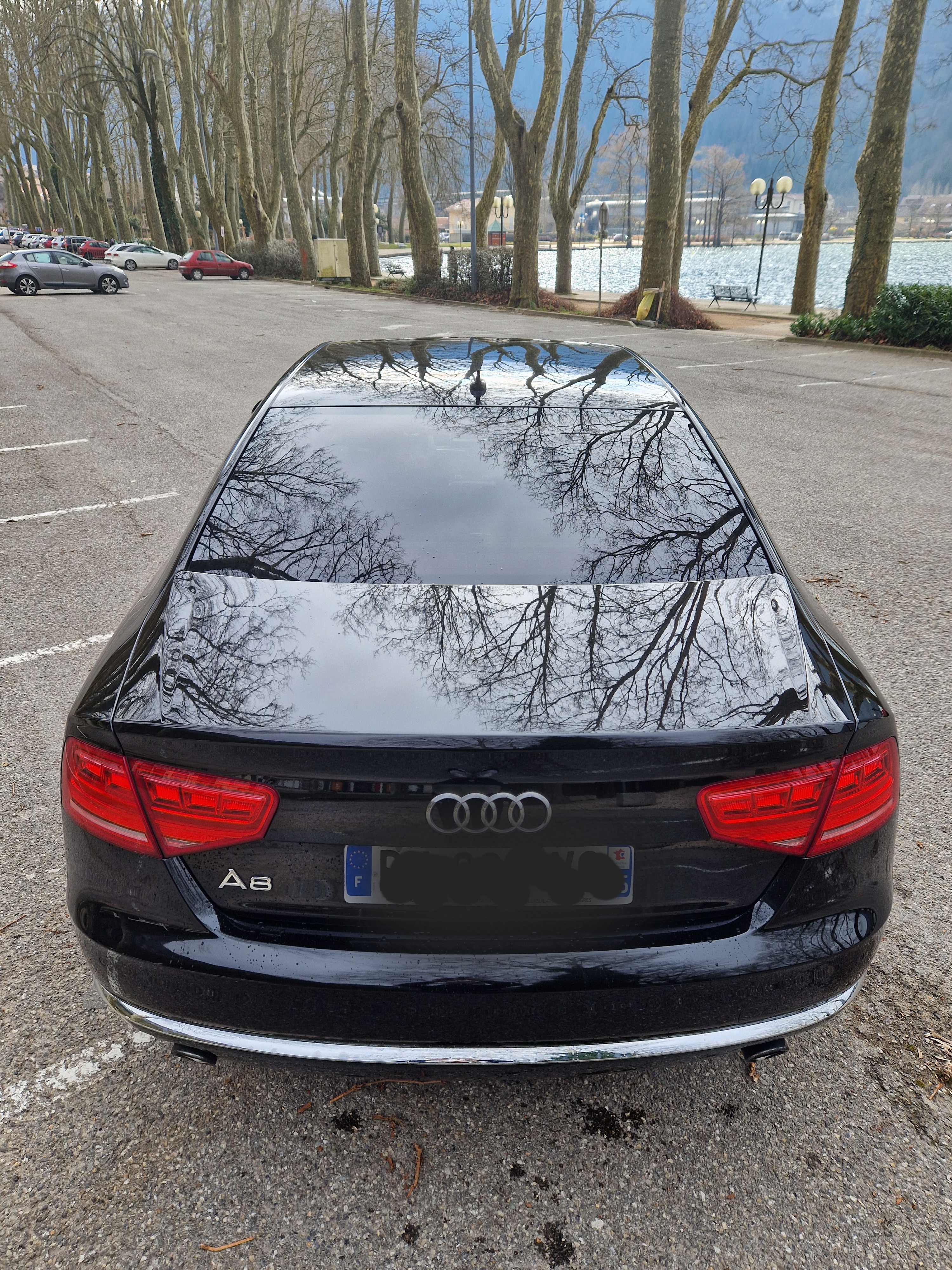 Audi A8 III 4.2 V8 TDI 350 DPF AVUS