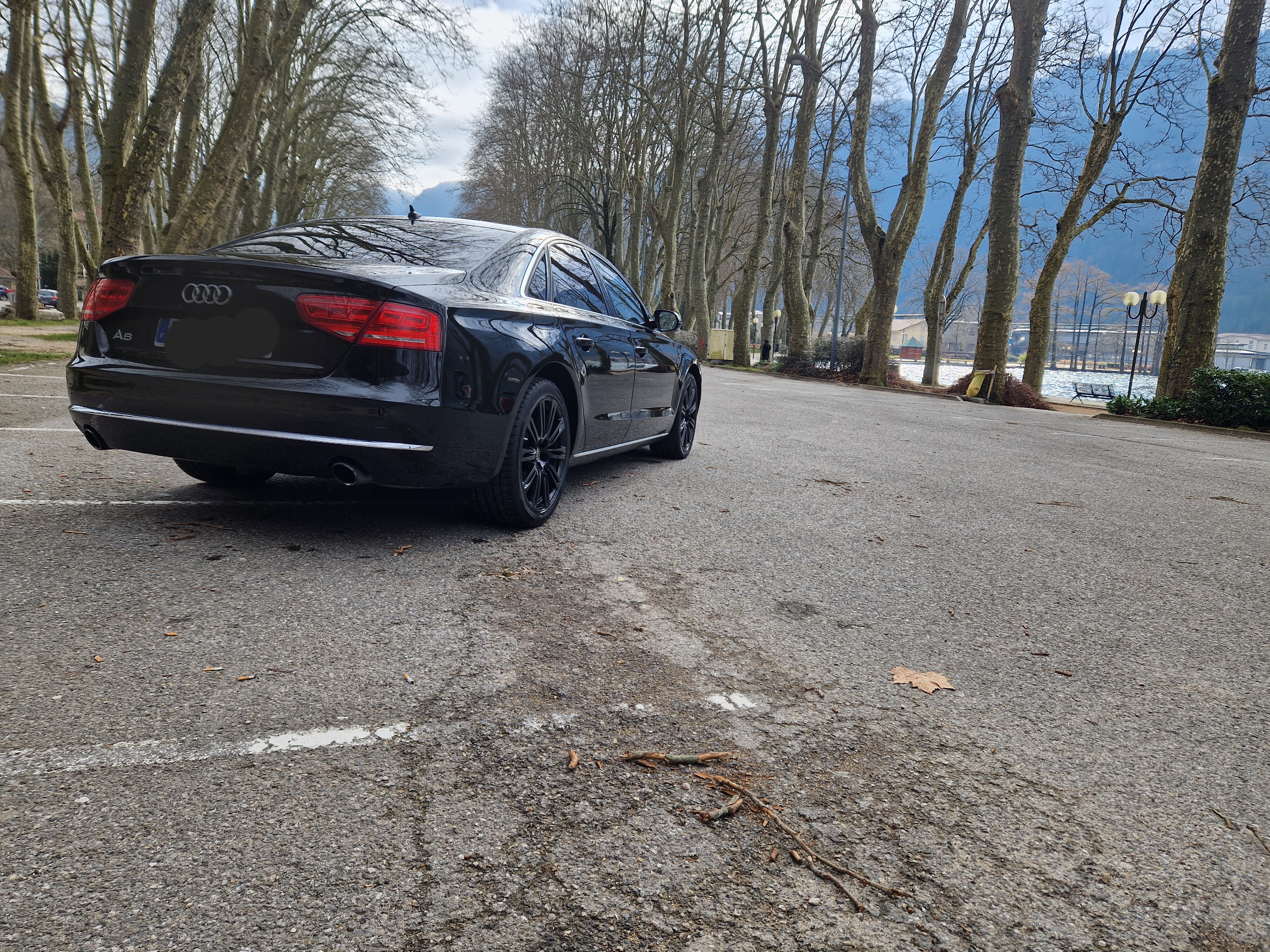 Audi A8 III 4.2 V8 TDI 350 DPF AVUS
