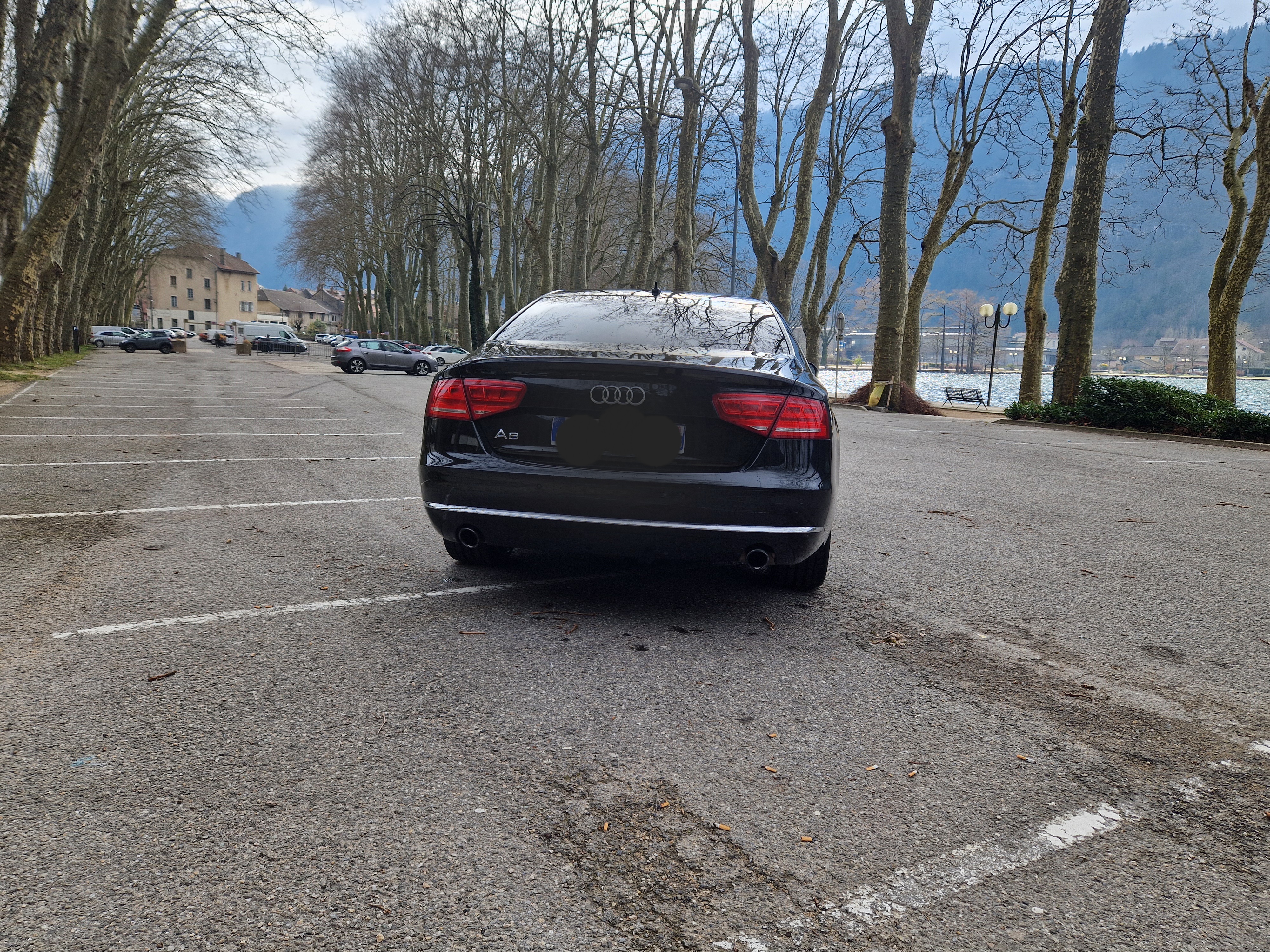 Audi A8 III 4.2 V8 TDI 350 DPF AVUS