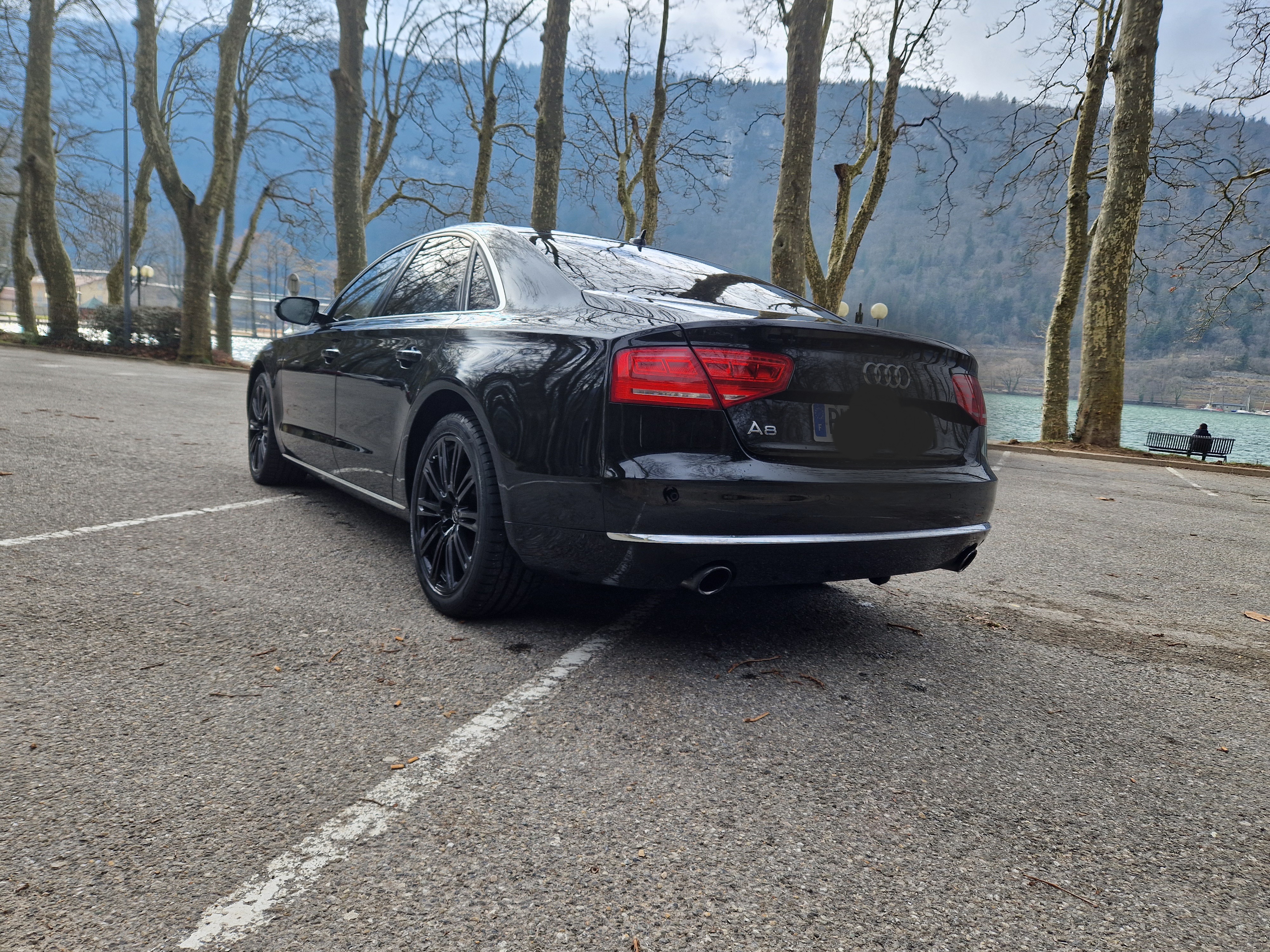 Audi A8 III 4.2 V8 TDI 350 DPF AVUS