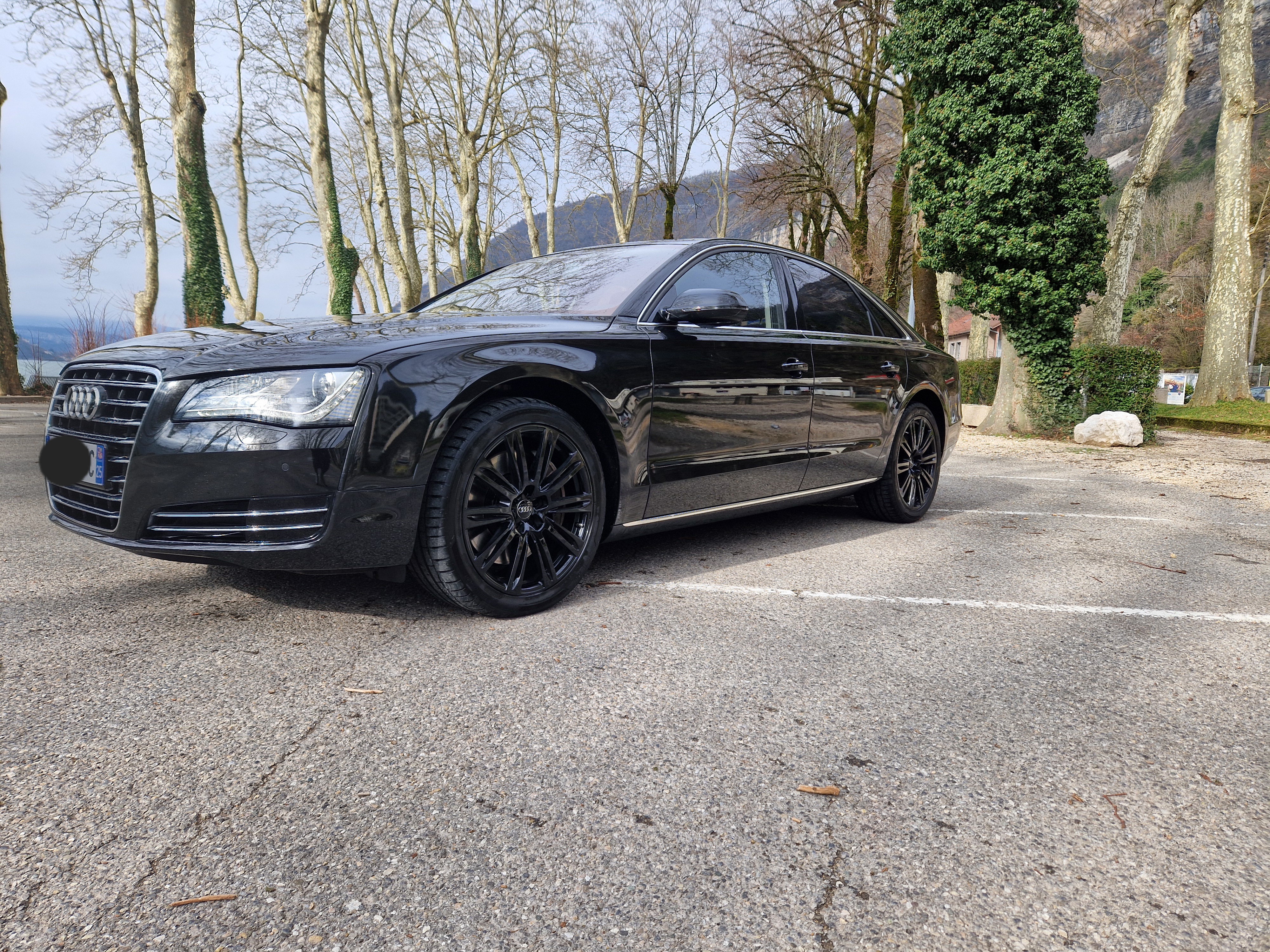 Audi A8 III 4.2 V8 TDI 350 DPF AVUS